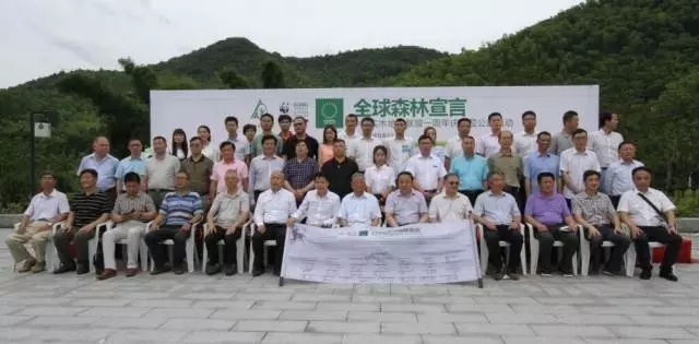 康輝地板積極推動“深林宣言”  企業(yè)經(jīng)營堅守:綠色環(huán)保