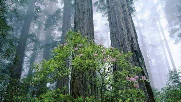 xذ山ӲľƷp һ׌@ϲ